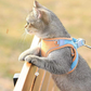 🔥Last Day Promotion 49% OFF🔥🔥One Piece Vest Leash