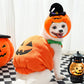 🎃Halloween Limited-Time Sale🎈Dog Costume: Halloween Pumpkin