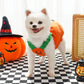 🎃Halloween Limited-Time Sale🎈Dog Costume: Halloween Pumpkin
