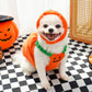 🎃Halloween Limited-Time Sale🎈Dog Costume: Halloween Pumpkin
