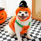 🎃Halloween Limited-Time Sale🎈Dog Costume: Halloween Pumpkin