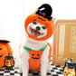 🎃Halloween Limited-Time Sale🎈Dog Costume: Halloween Pumpkin