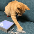 Easy Pet Hair Cleaner - dressowy
