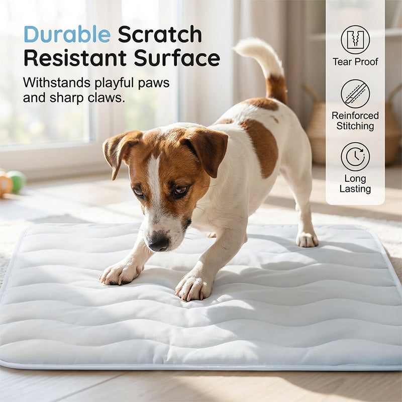 ❄️2026 Summer Hot Sale 40% OFF🧊PawDew™ for Dogs & Cats – Vet-Approved Ice-Silk Cooling Pad ❄️ | Q-MAX >0.4 | Washable 🧼, Non-Slip 🛟 | Perfect for Large Breeds & US Summers ☀️🇬🇧