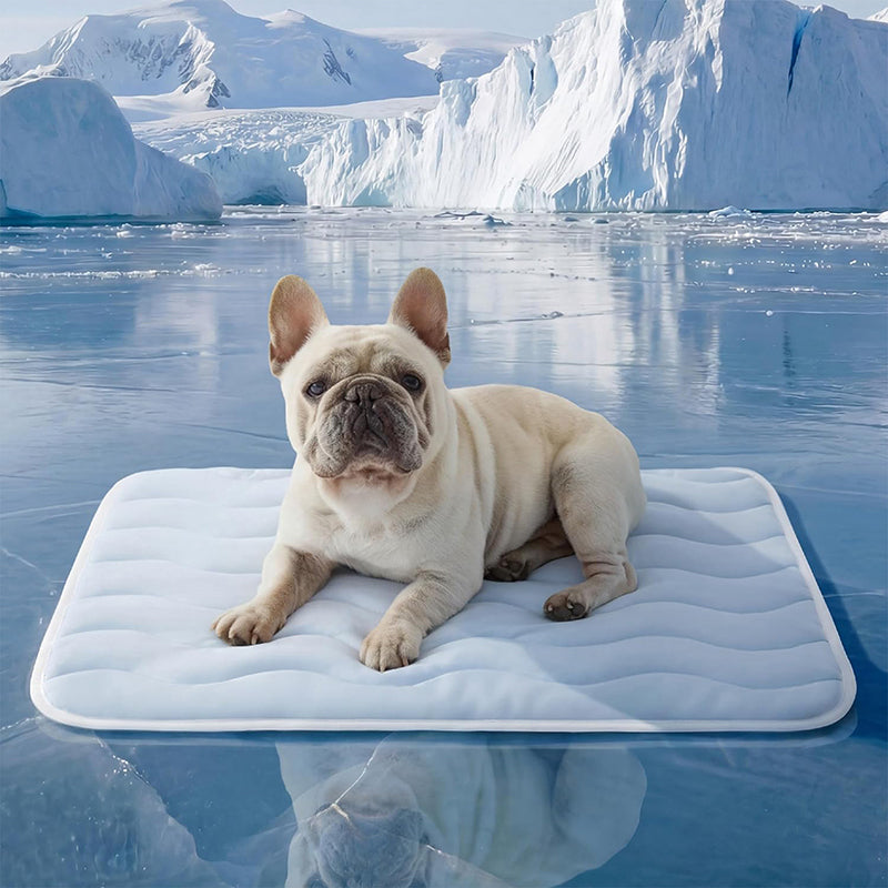 ❄️2026 Summer Hot Sale 40% OFF🧊PawDew™ for Dogs & Cats – Vet-Approved Ice-Silk Cooling Pad ❄️ | Q-MAX >0.4 | Washable 🧼, Non-Slip 🛟 | Perfect for Large Breeds & US Summers ☀️🇬🇧