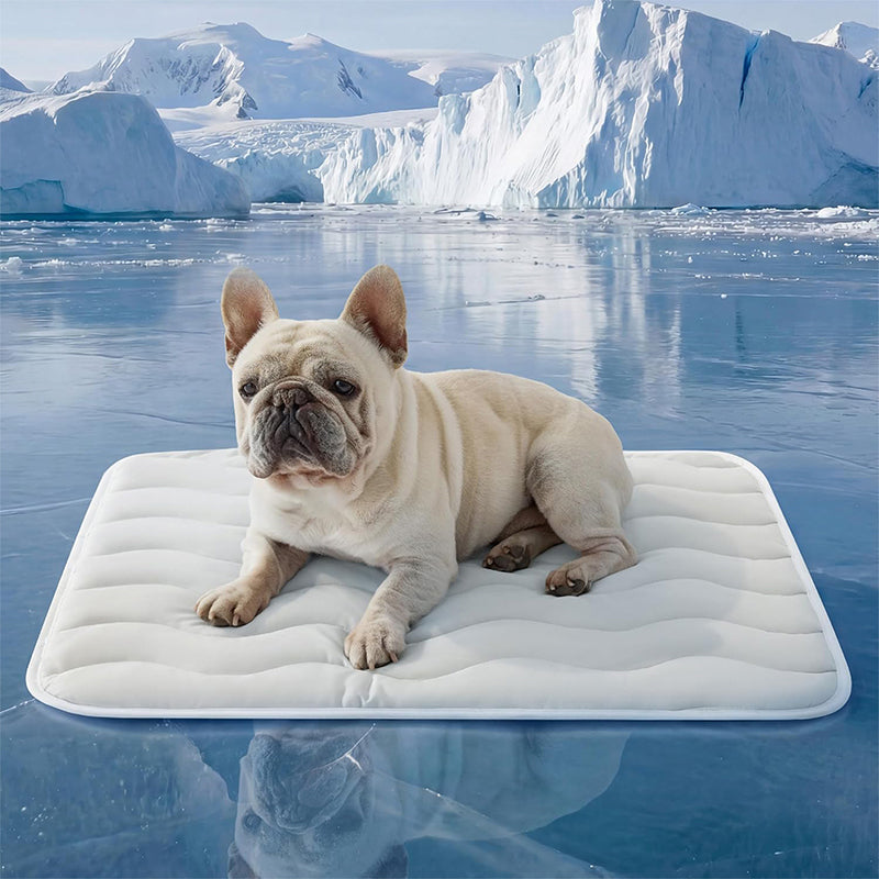 ❄️2026 Summer Hot Sale 40% OFF🧊PawDew™ for Dogs & Cats – Vet-Approved Ice-Silk Cooling Pad ❄️ | Q-MAX >0.4 | Washable 🧼, Non-Slip 🛟 | Perfect for Large Breeds & US Summers ☀️🇬🇧