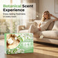 🏵️🏵️Last Day Sale 49% OFF-Multi-Effect Floor Cleaner Tablets🏵️🏵️