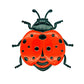 🐝🐝Last Day Sale 49% OFF--3D Bee, Butterfly, and Ladybird Wall Hangings🦋🦋
