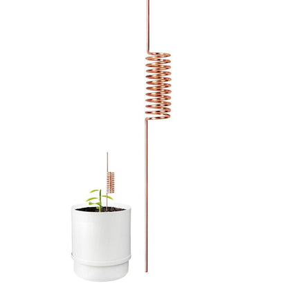 🪴🪴Last Day Sale 49% OFF-Copper Spiral Antenna Plant Stakes🌻🌻