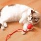 😸😸Last Day Sale 49% OFF-Smart Automatic Rolling Pet Ball😸😸