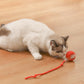 😸😸Last Day Sale 49% OFF-Smart Automatic Rolling Pet Ball😸😸